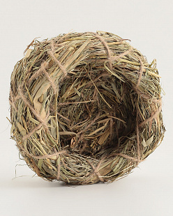 Ball - House for rodents