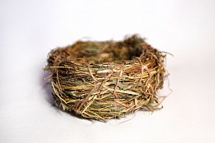 Nest – House for rodents and birds